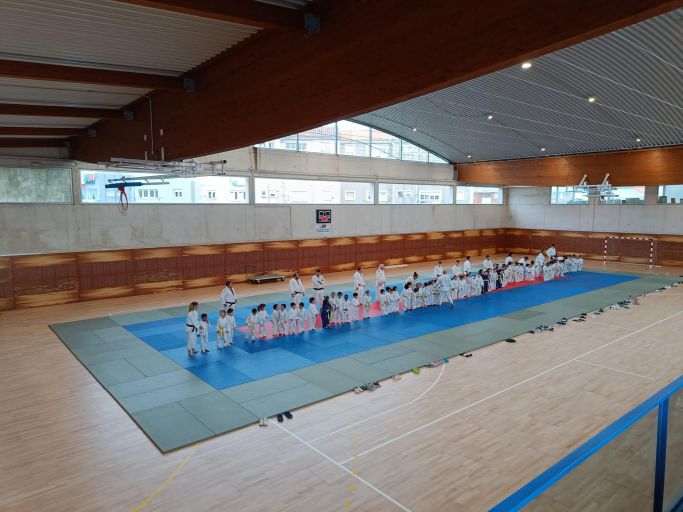 Actividad del club Judo-Kan 1