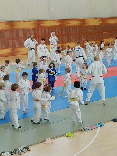 Actividad del club Judo-Kan 10